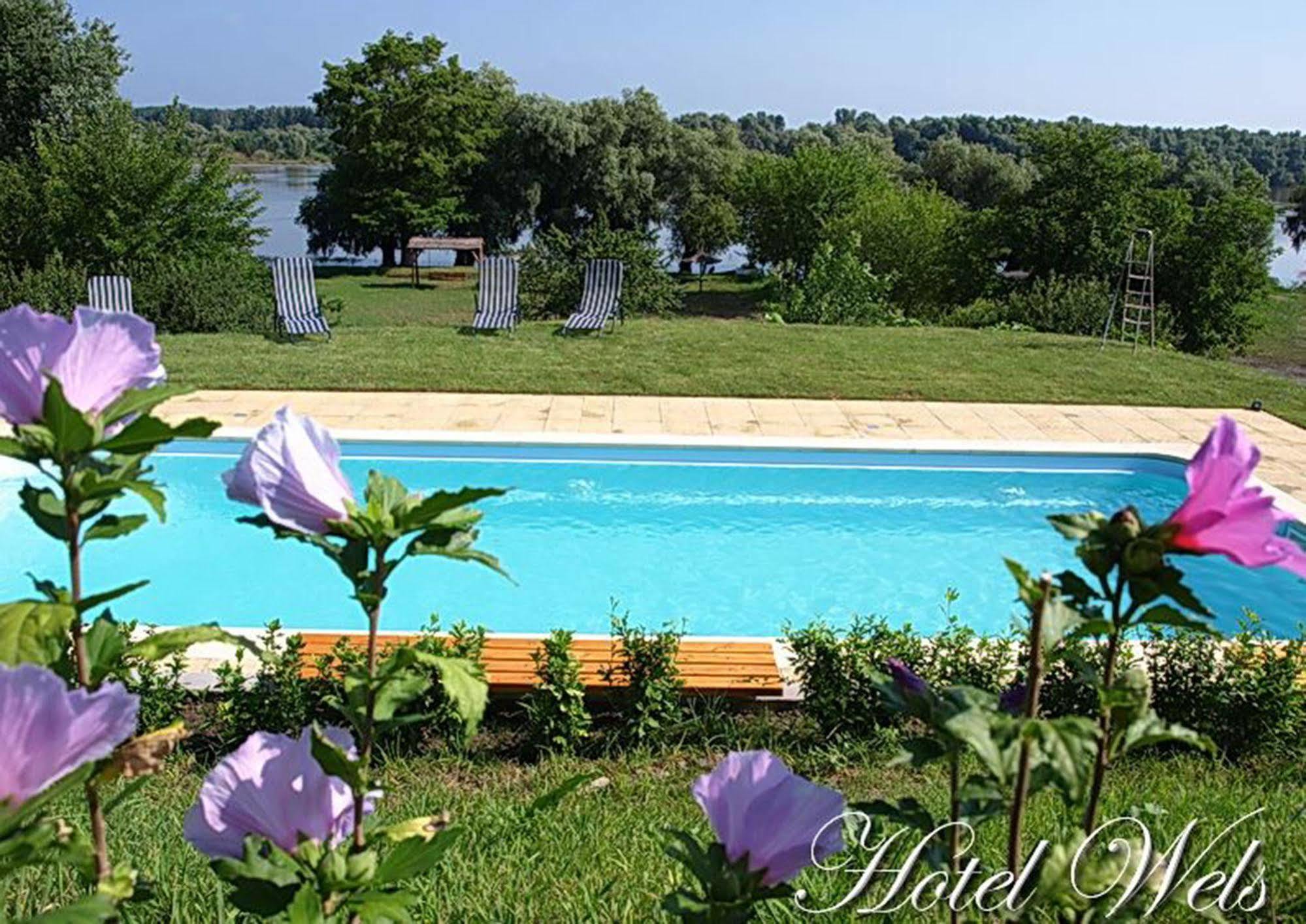 Hotel Wels Baltenii de Sus Luaran gambar